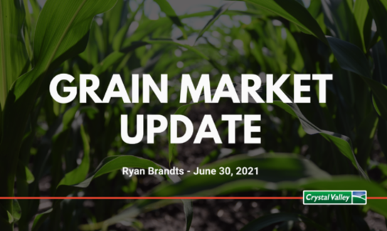 Grain Update